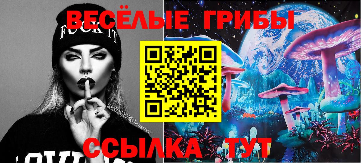 Псилоцибиновые грибы GOLDEN TEACHER Камень-на-Оби